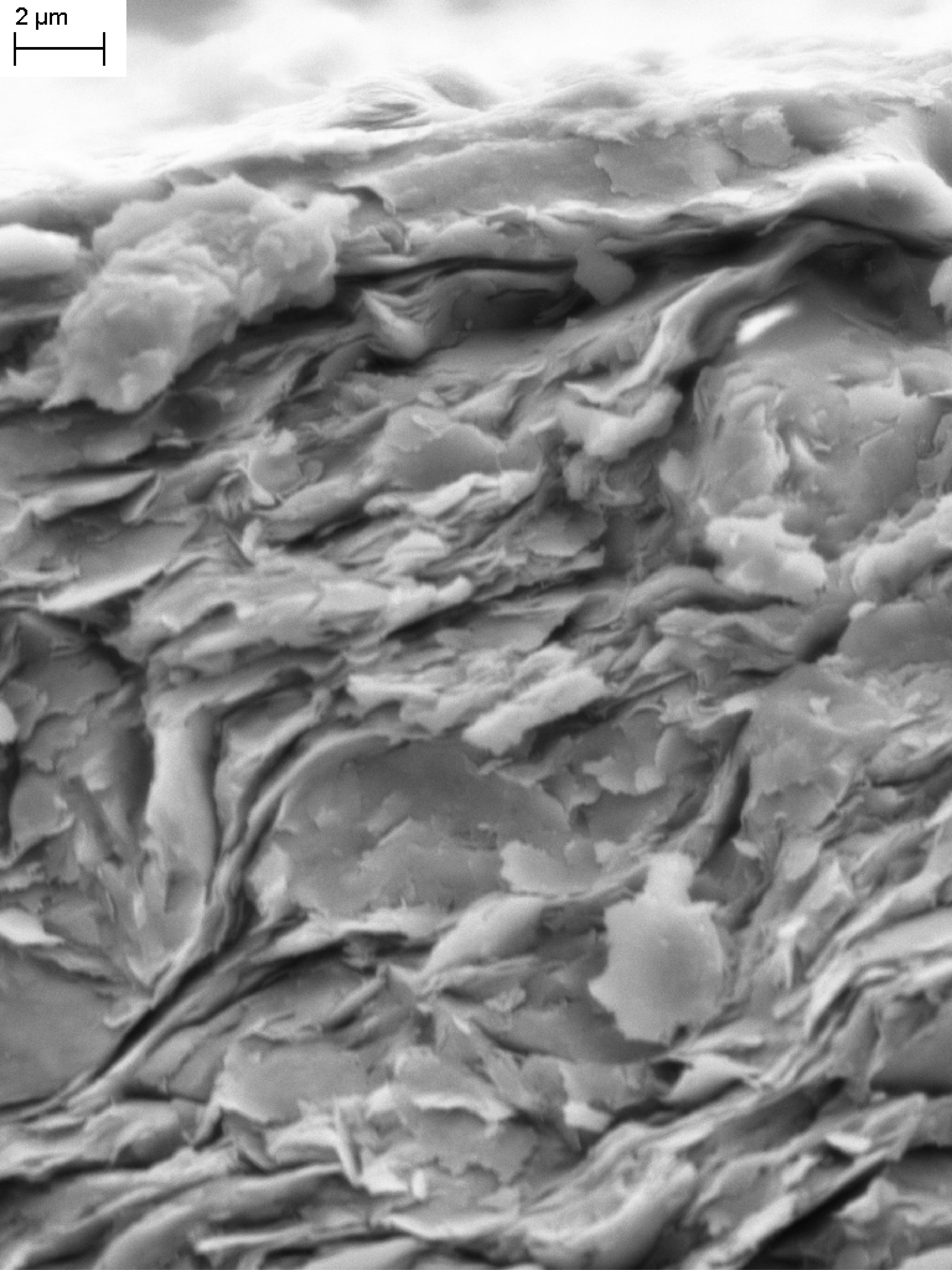        View of microsopic clay particles in the Opalinus Clay matrix.