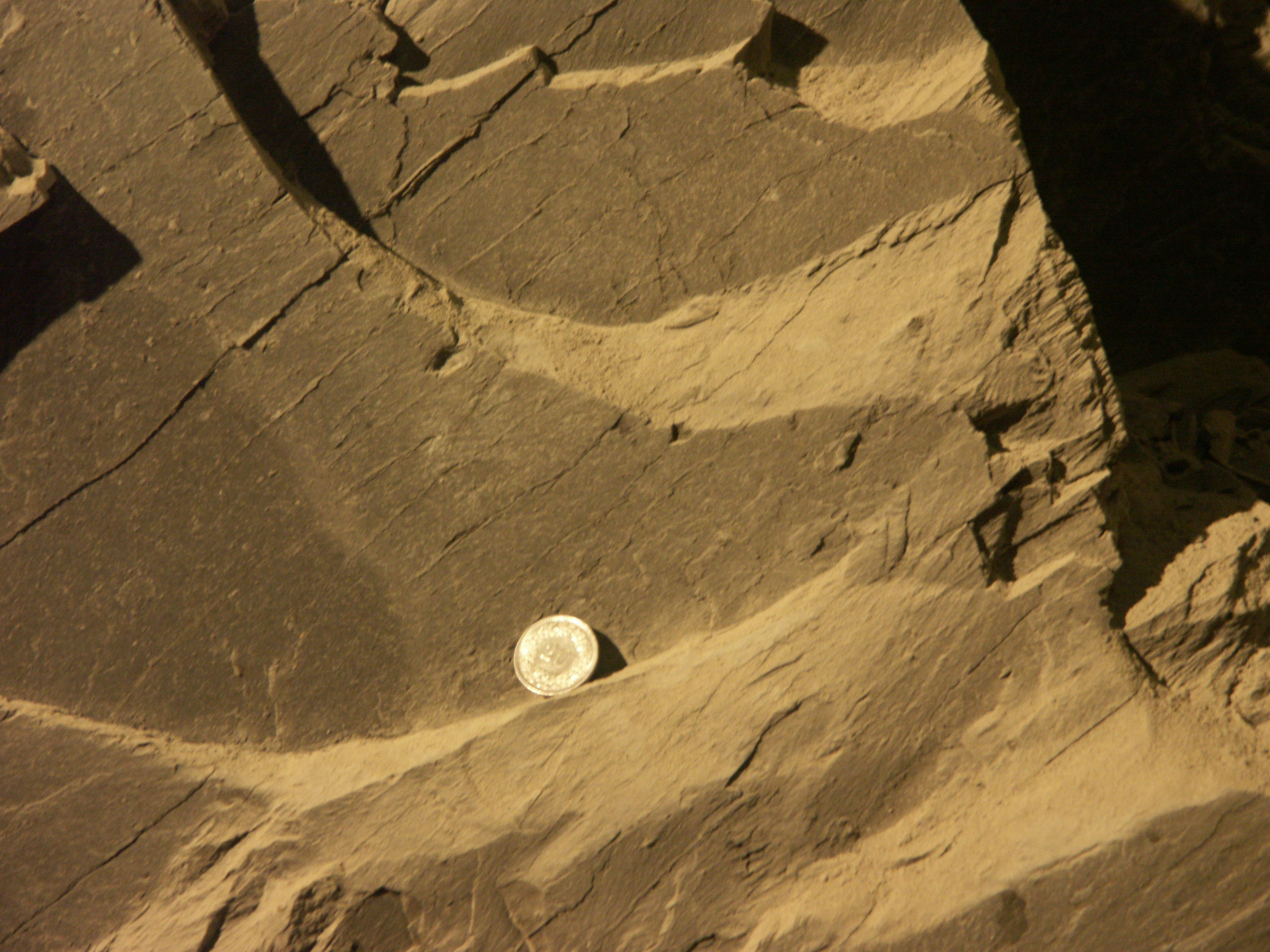 In winter the rock dries out and shrinks, causing cracks. These shrinkage cracks spread out along the layering (in the image: from bottom left to top right).