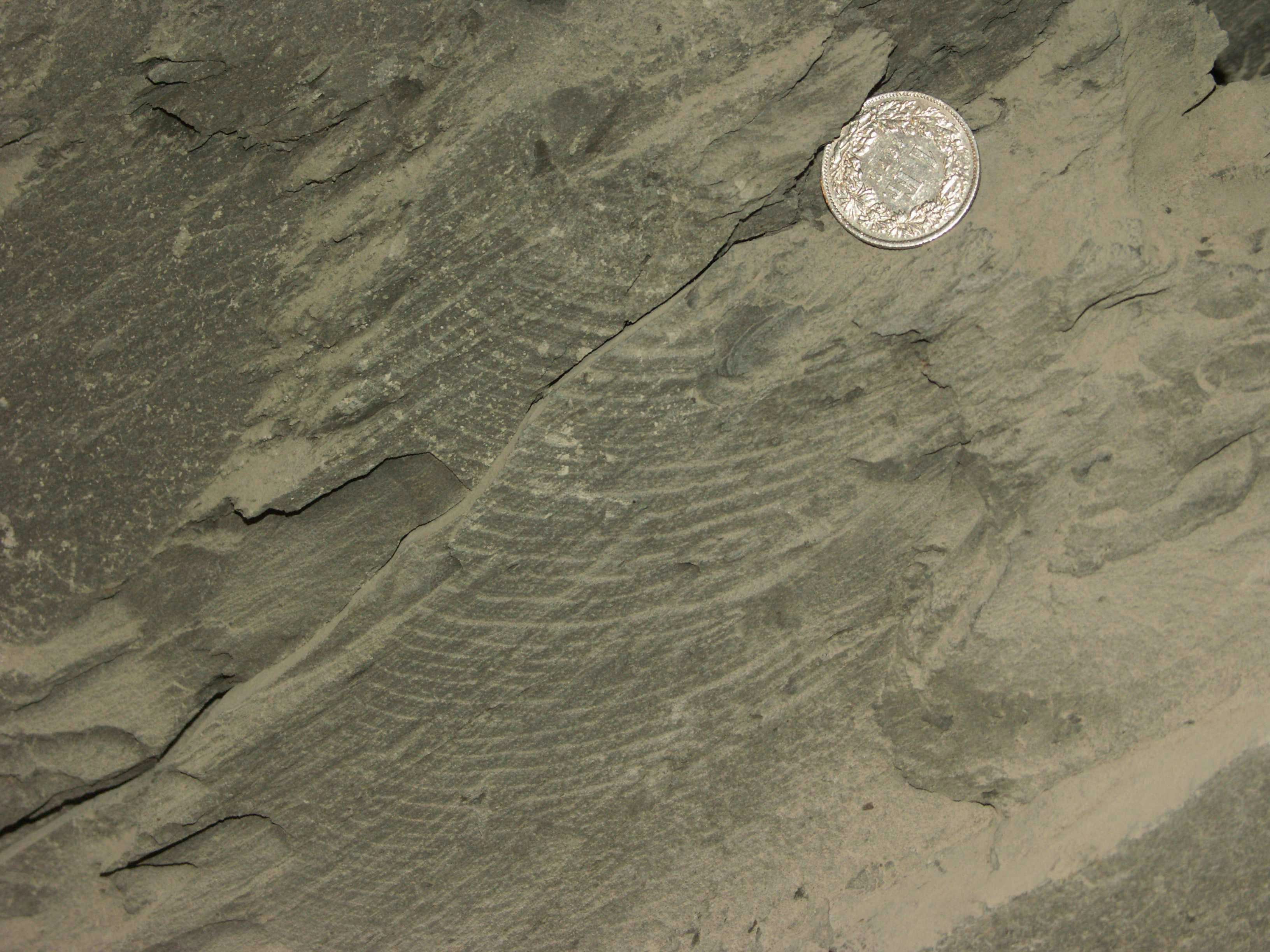 EDZ pressure release joint with plumose structure. Clearly visible are the concentric “ripples” that indicate the spreading direction of the joint.